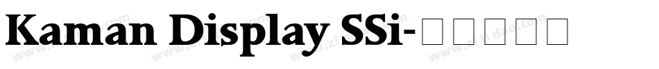 Kaman Display SSi字体转换
